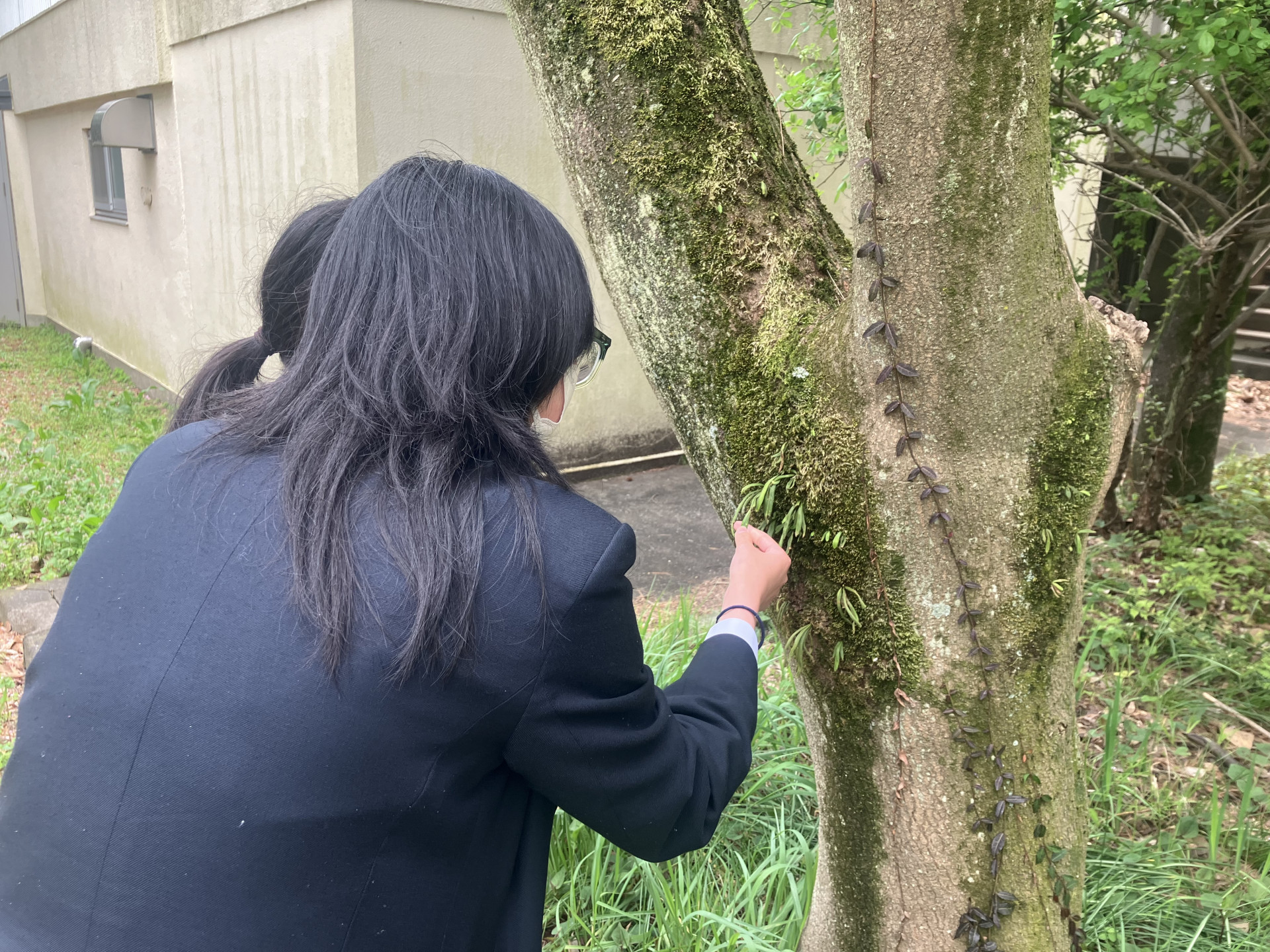 Image - 2026-04-11T082017.889